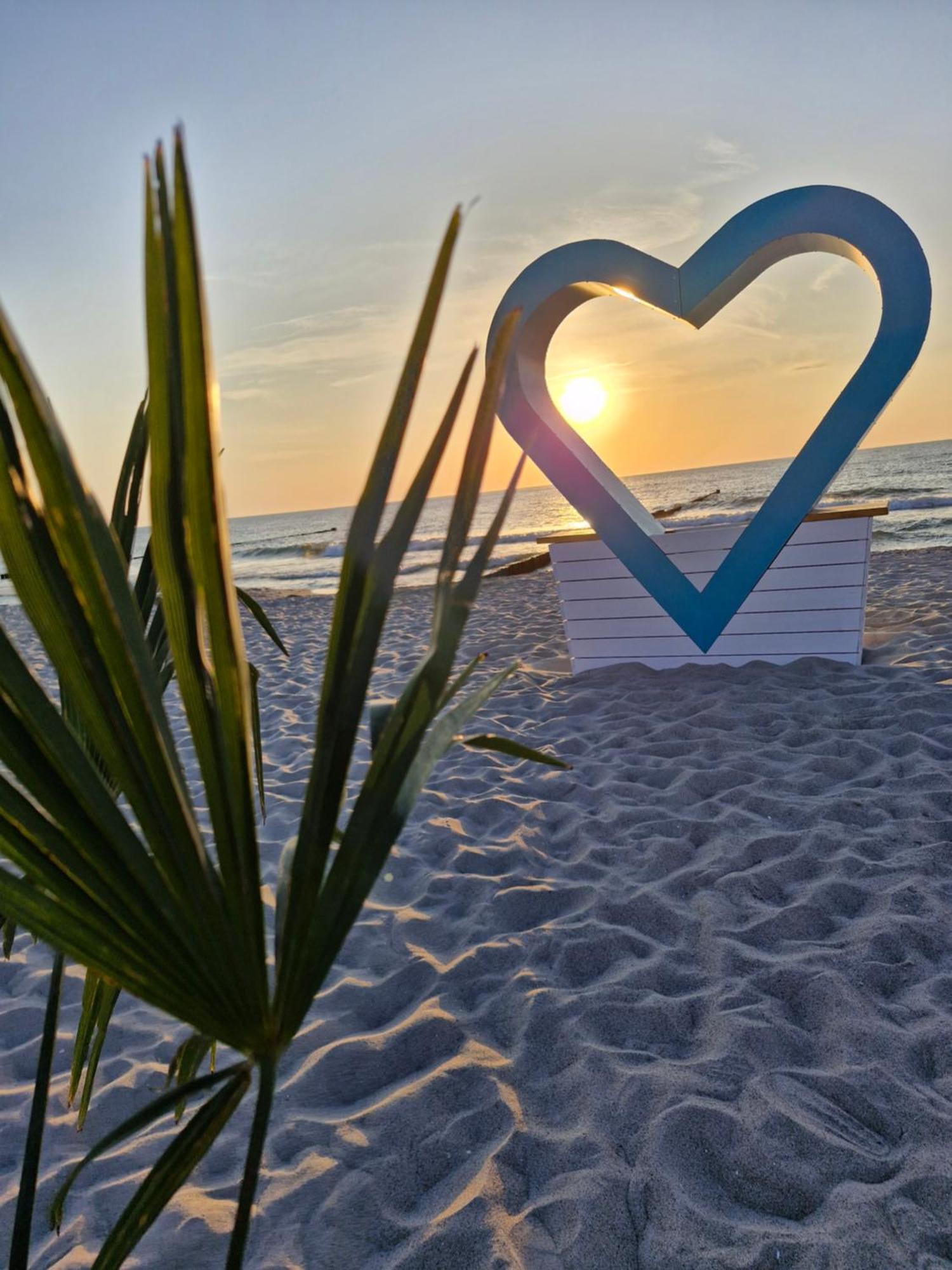 Ferienwohnung Ostseegras Markgrafenheide, 350M Bis Zur Ostsee, Unweit Von Warnemuende Rostock Dış mekan fotoğraf